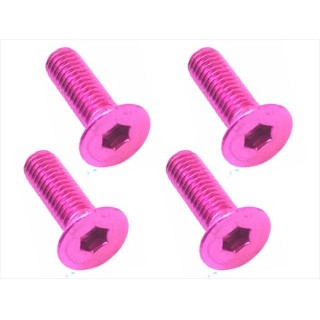 ジュラルミンヘックスビス皿３×１０ｍｍ（４ｐｃｓ） [SAR-310PK]]