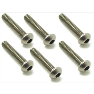 チタンヘックスボタンビス２×１０ｍｍ [NTR-210]]