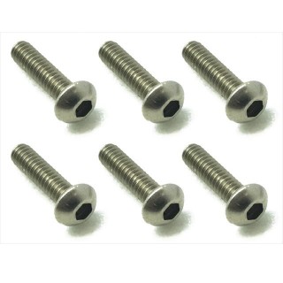 チタンヘックスボタンビス２×８ｍｍ [NTR-208]]