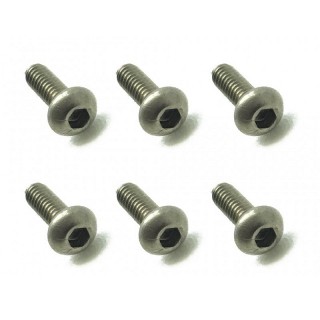 チタンヘックスボタンビス２×６ｍｍ [NTR-206]]