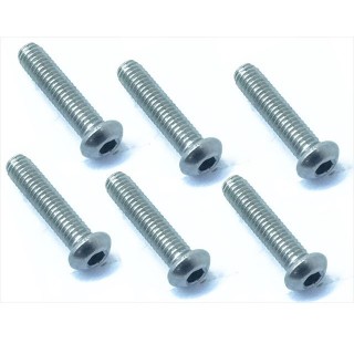 チタンヘックスボタンビス２.６×１２ｍｍ [NTR-2612]]