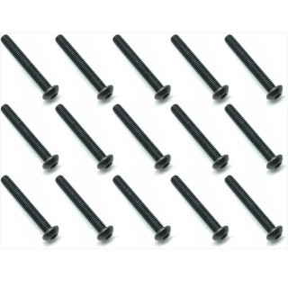 スチールヘックスビスボタン３×２２ｍｍ（１５ｐｃｓ） [NST-322]]