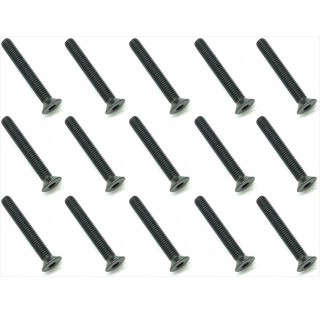 スチールヘックスビス皿３×２２ｍｍ（１５ｐｃｓ） [SST-322]]