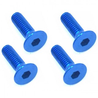 ジュラルミンヘックスビス皿3×10ｍｍ(4pcs) [SAR-310BY]]