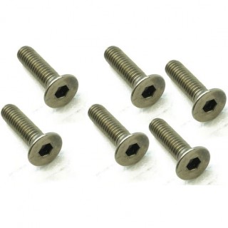 チタンヘックスビス皿4×15ｍｍ(6pcs) [STR-415]]