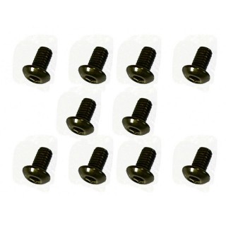 S-Flexチタン M3×5mm ヘックスボタンビス 10pcs [NFR-305]]