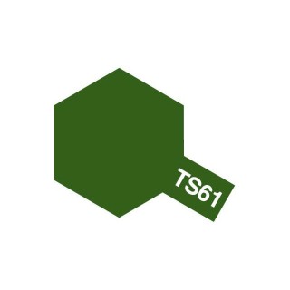 TS-61 NATOグリーン [85061]