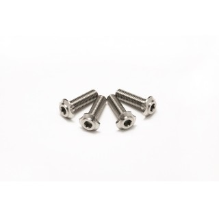 チタンロープロヘッドビス(M3x10mm) [HS-48856]]