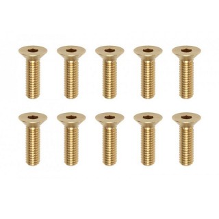 高精度切削 ブラス製フラットヘッドスクリュー M3×10mm(10本入) [RP-042-10BA]]