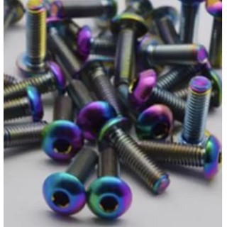 チタンレインボーボタンビス M3×10mm(5本) [RP-02310]]