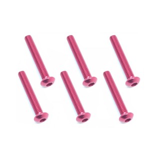 3×20 ヘックスボタン ジュラルミンビス(レッド/6本入) [NAX-320R]