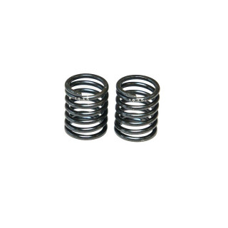 リヤスプリング 1.9-6.5 [H2521]