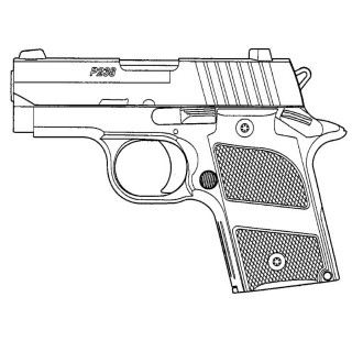 ハイランク(10才)P238SV [CRW-14503]