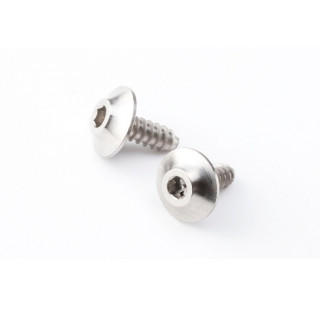 8810 STYLE SPM チタン製ウイング用M2×5mmタッピングスクリュー(2pcs) [HS-TSO1]