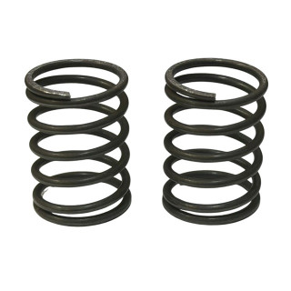TITAN FLEX Spring 24mm ハード 2本入 [TP-725H]