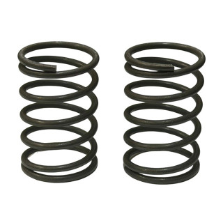 TITAN FLEX Spring 27mm ミディアム 2本入 [TP-726M]