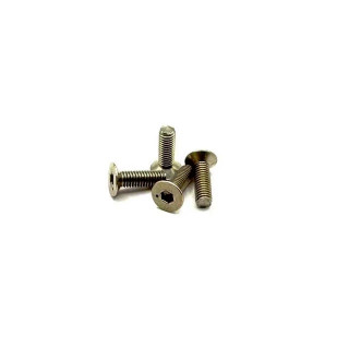 チタンヘックス110皿ビス M3×10 (4pcs) [HS-38159]